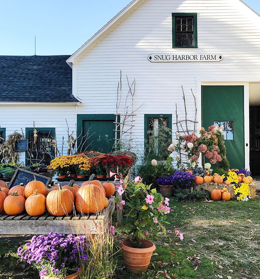 Coastal white building decorated for Fall with flowers and pumpkins